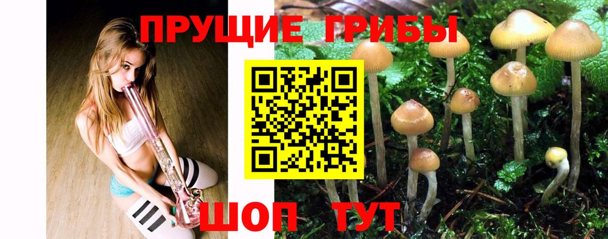 Галлюциногенные грибы прущие грибы Баксан